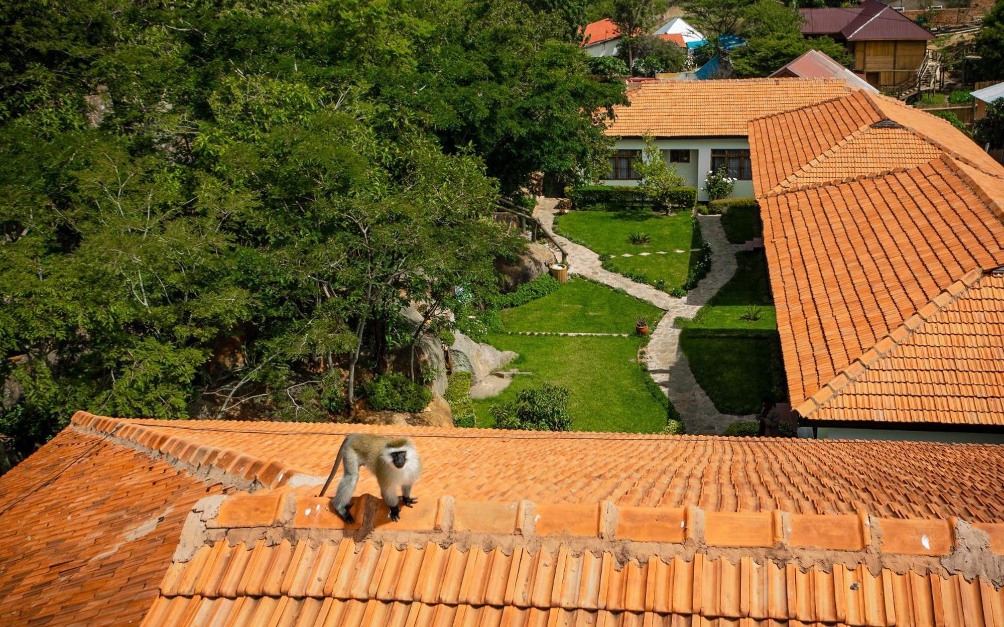 Iringa Sunset Hotel Dış mekan fotoğraf